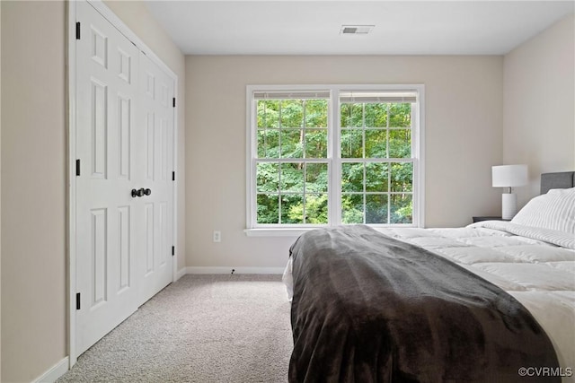 11137 Sterling Cove Dr, Chesterfield, VA 23838 - carpeted bedroom featuring multiple windows and baseboards