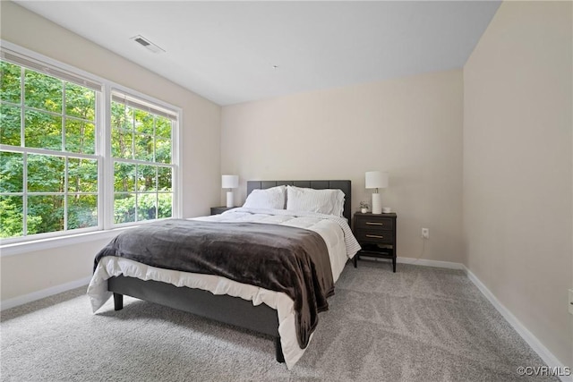 11137 Sterling Cove Dr, Chesterfield, VA 23838 - bedroom with carpet floors and baseboards