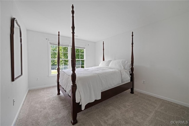 11137 Sterling Cove Dr, Chesterfield, VA 23838 - carpeted bedroom featuring baseboards