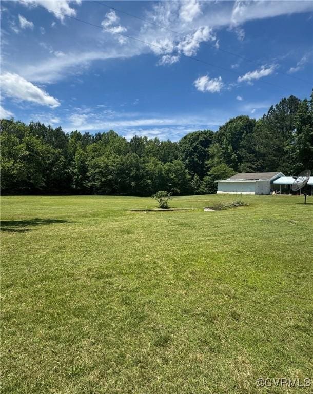 2095 Beef Rd, Greenville, VA 23847 - view of grassy yard featuring a forest view