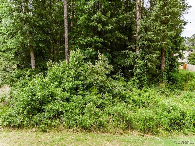 0 Nicholson Dr, Wakefield, VA 23888