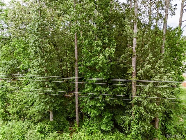 0 Nicholson Dr, Wakefield, VA 23888