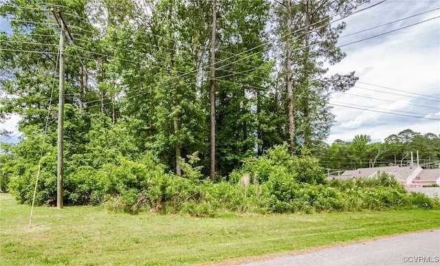 0 Nicholson Dr, Wakefield, VA 23888