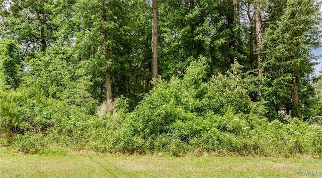 0 Nicholson Dr, Wakefield, VA 23888