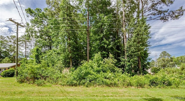0 Nicholson Dr, Wakefield, VA 23888