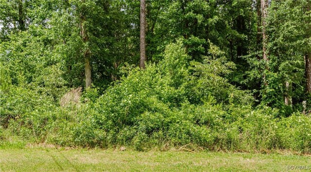 0 Nicholson Dr, Wakefield, VA 23888