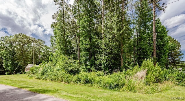 0 Nicholson Dr, Wakefield, VA 23888