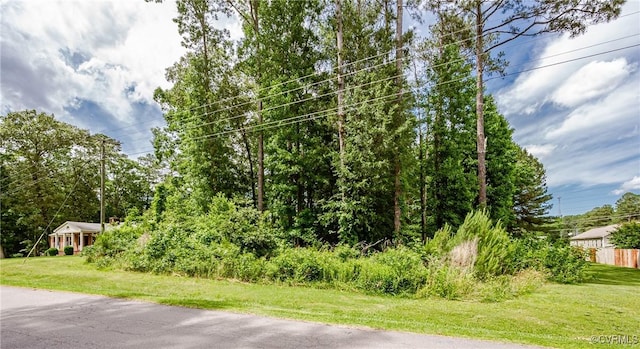 0 Nicholson Dr, Wakefield, VA 23888