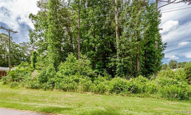 0 Nicholson Dr, Wakefield, VA 23888