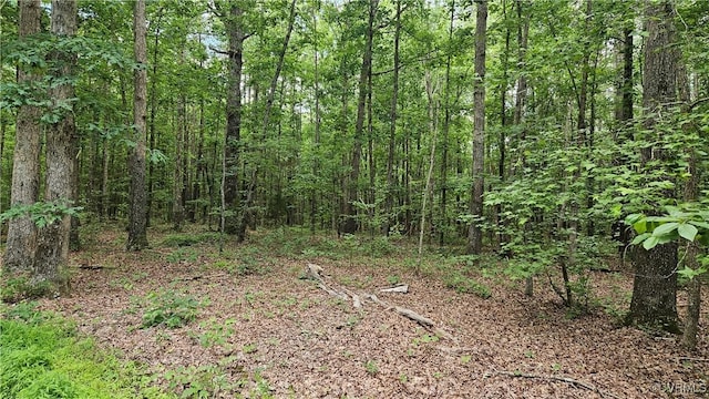 26.55AC Namozine Rd, Amelia Courthouse, VA 23002
