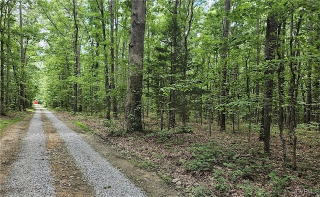 26.55AC Namozine Rd, Amelia Courthouse, VA 23002