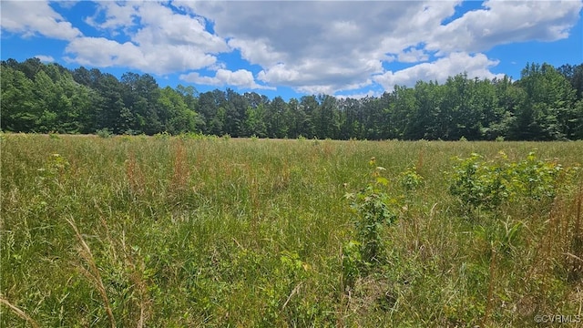 26.55AC Namozine Rd, Amelia Courthouse, VA 23002