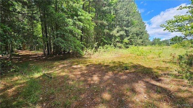26.55AC Namozine Rd, Amelia Courthouse, VA 23002