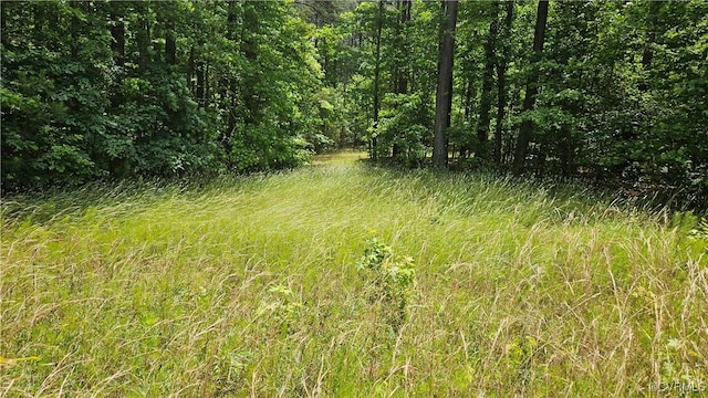 26.55AC Namozine Rd, Amelia Courthouse, VA 23002