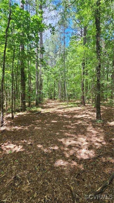 26.55AC Namozine Rd, Amelia Courthouse, VA 23002