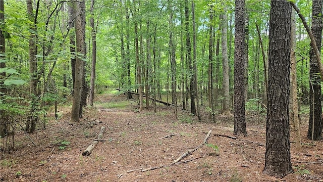 26.55AC Namozine Rd, Amelia Courthouse, VA 23002