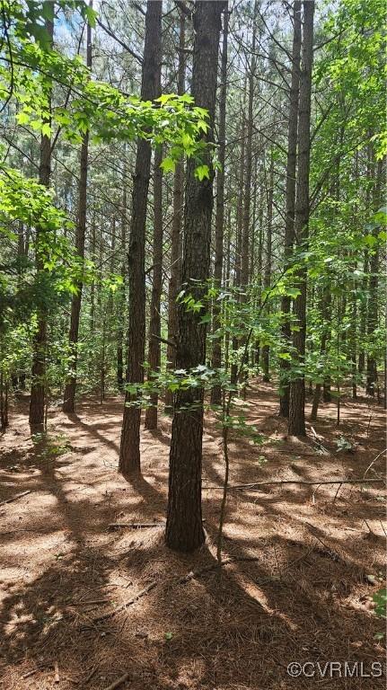 26.55AC Namozine Rd, Amelia Courthouse, VA 23002