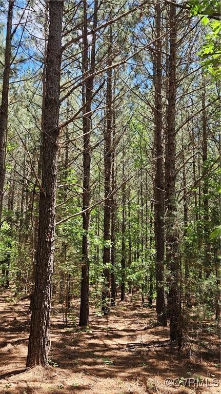 26.55AC Namozine Rd, Amelia Courthouse, VA 23002