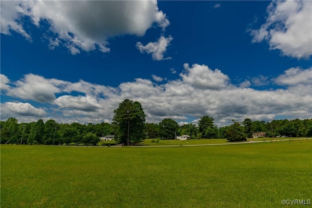 19083 Country Rd, Beaverdam, VA 23015 - view of green lawn