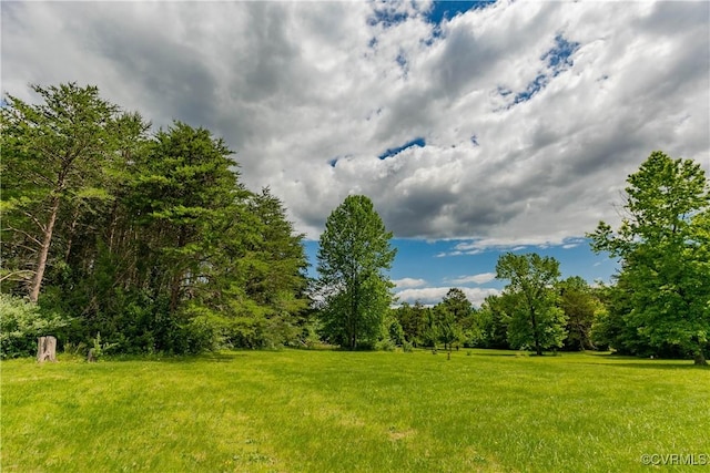 19083 Country Rd, Beaverdam, VA 23015 - view of grassy yard