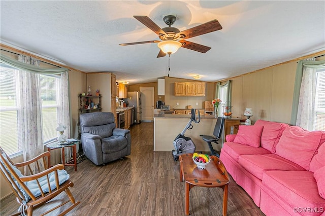 19083 Country Rd, Beaverdam, VA 23015 - living room featuring dark wood-style floors, ceiling fan, and vaulted ceiling