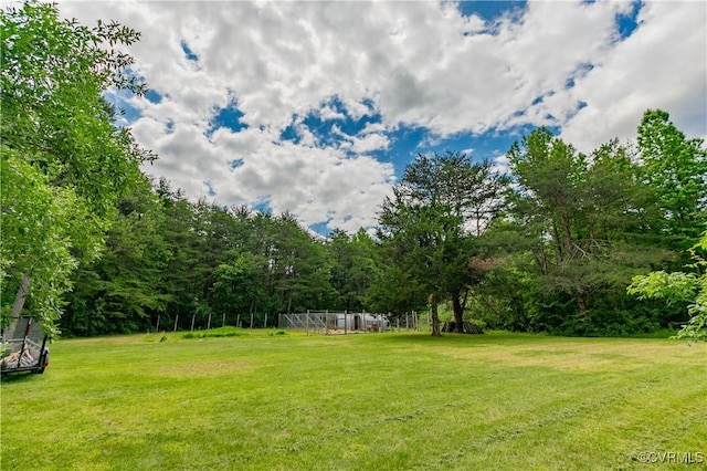 19083 Country Rd, Beaverdam, VA 23015 - view of green lawn