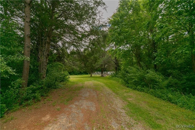 19083 Country Rd, Beaverdam, VA 23015 - view of yard