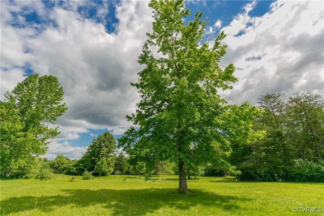 19083 Country Rd, Beaverdam, VA 23015 - view of green lawn