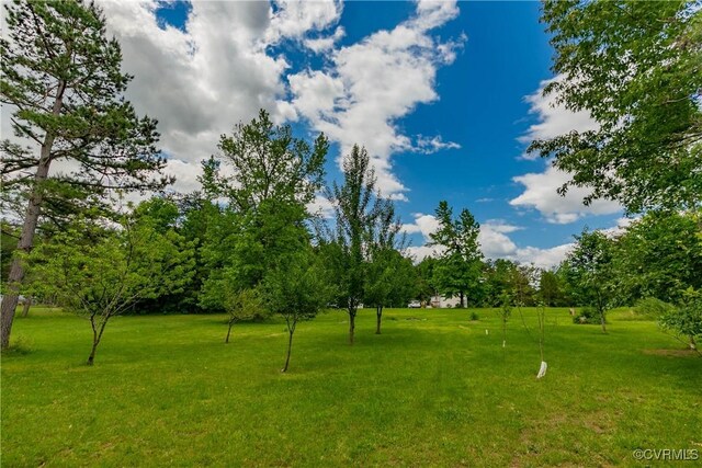 19083 Country Rd, Beaverdam, VA 23015 - view of grassy yard