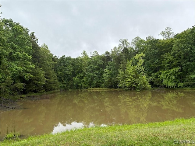 4156 Royal Ridge Ct, Louisa, VA 23093 - photo 49