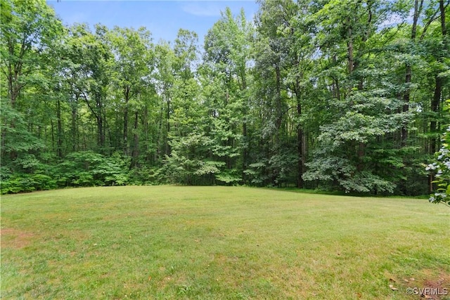 4156 Royal Ridge Ct, Louisa, VA 23093 - photo 47