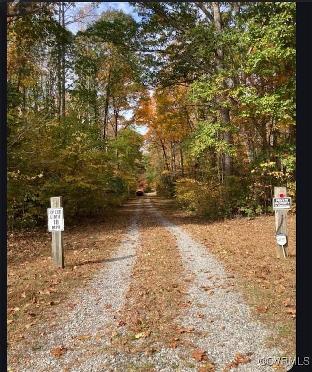 14421 Clazemont Rd, Montpelier, VA 23192 - view of dirt / gravel road