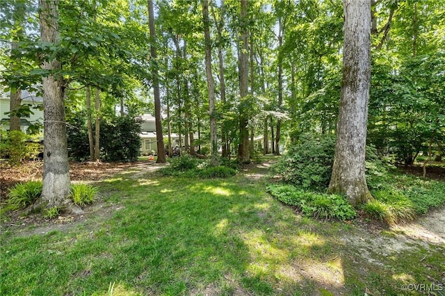 15210 Powell Grove Rd, Midlothian, VA 23112 - view of yard