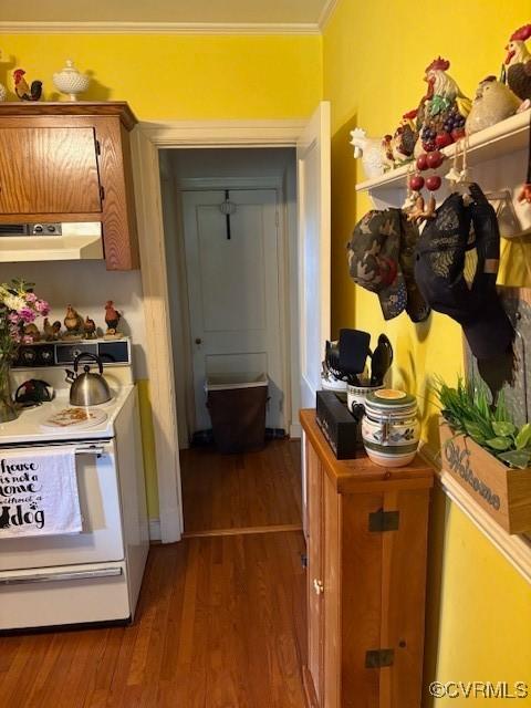586 Mussel Swamp Rd, Essex, VA 22560 - photo 6