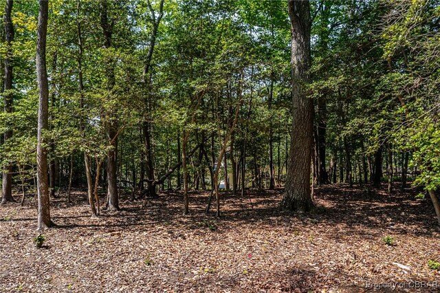 0 Forest Green Rd, Reedville, VA 22539