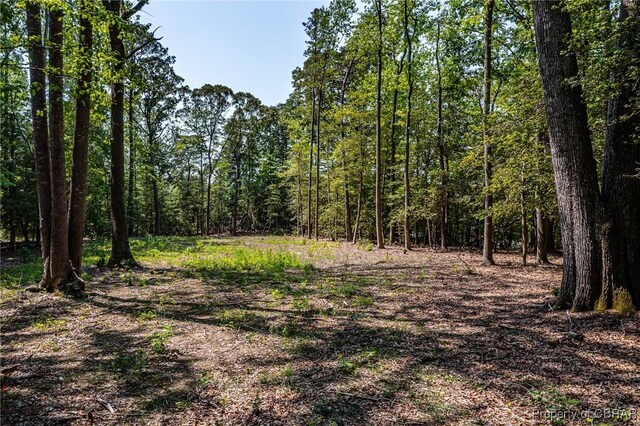 0 Forest Green Rd, Reedville, VA 22539