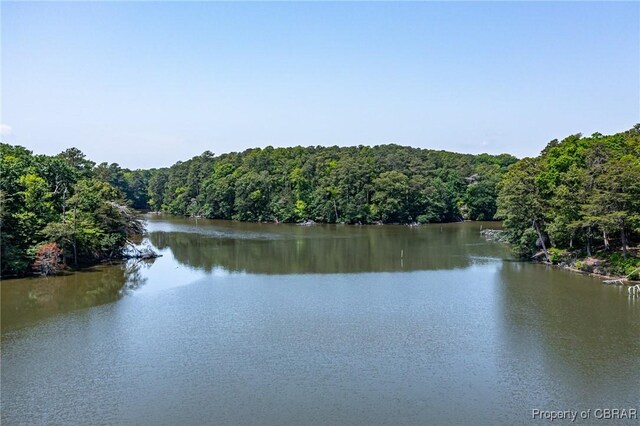 0 Forest Green Rd, Reedville, VA 22539