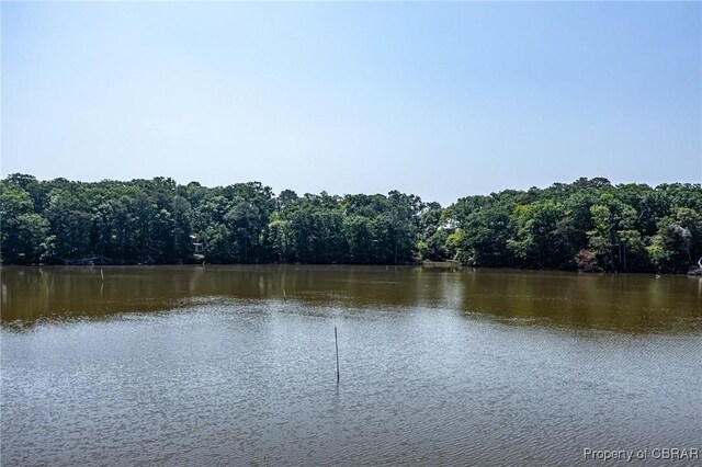 0 Forest Green Rd, Reedville, VA 22539