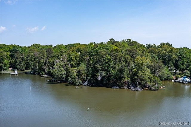 0 Forest Green Rd, Reedville, VA 22539