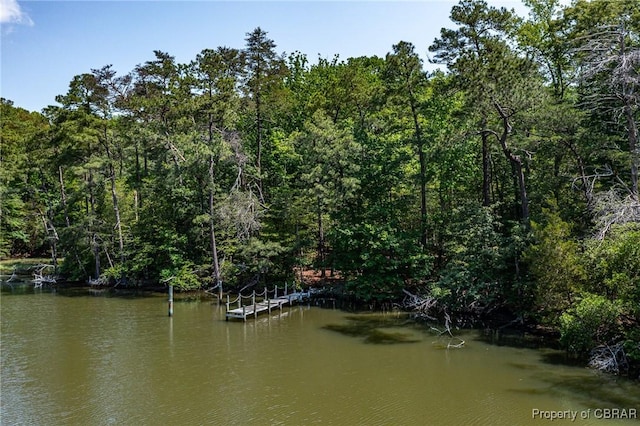 0 Forest Green Rd, Reedville, VA 22539