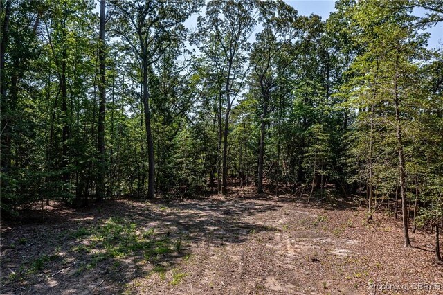 0 Forest Green Rd, Reedville, VA 22539