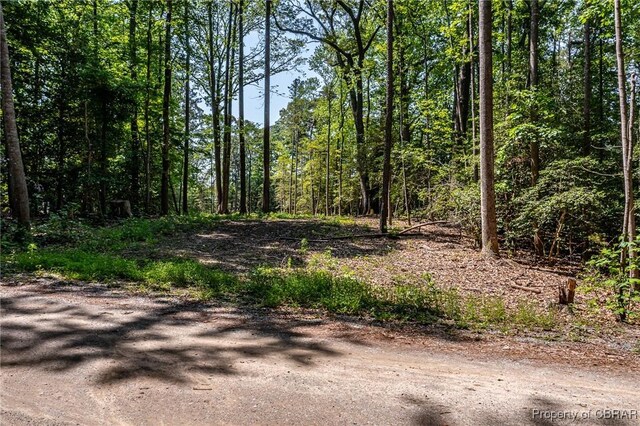 0 Forest Green Rd, Reedville, VA 22539