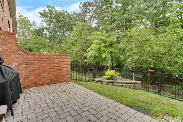 11715 Triple Notch Ter, Henrico, VA 23233 - view of patio with area for grilling
