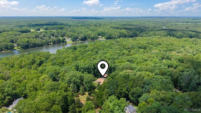 3786 Donavon Mill Ct, Powhatan, VA 23139 - aerial view of a forest and a large body of water