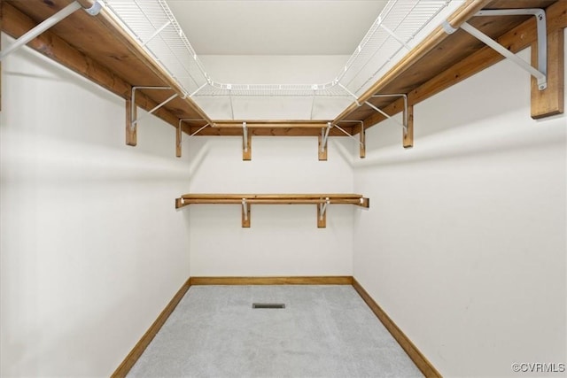 3786 Donavon Mill Ct, Powhatan, VA 23139 - walk in closet with carpet floors
