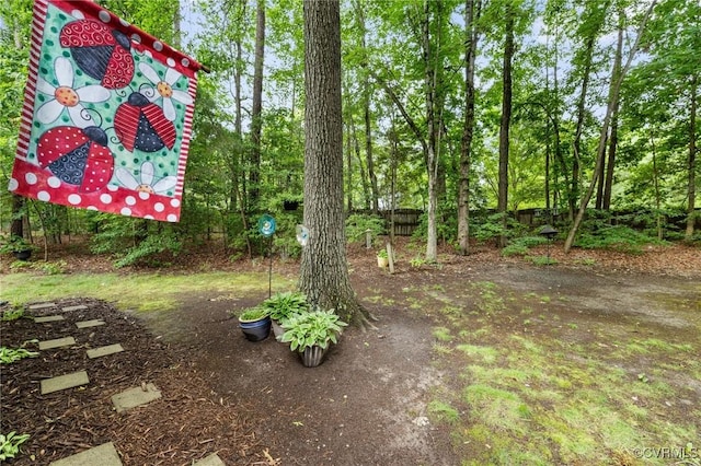 11601 Shadow Run Ln, Glen Allen, VA 23059 - view of yard