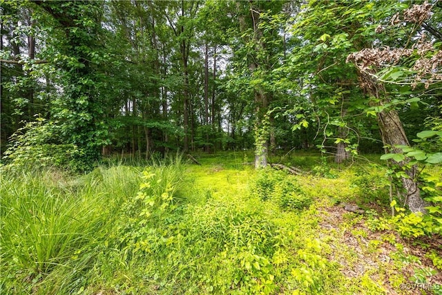 3612 Roselawn Ter, Hopewell, VA 23860 - view of woods