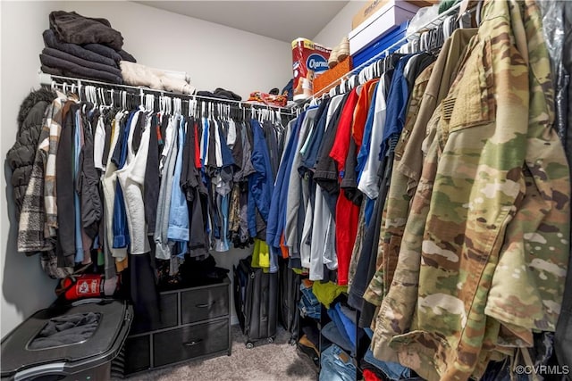3612 Roselawn Ter, Hopewell, VA 23860 - walk in closet featuring carpet flooring