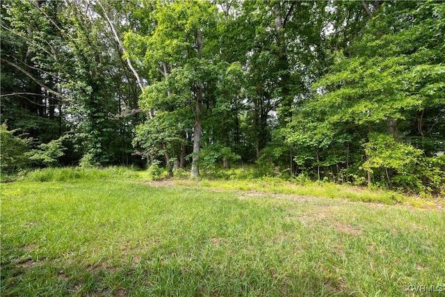 3612 Roselawn Ter, Hopewell, VA 23860 - view of yard