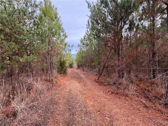 TBD Perkins Mill Rd, Dillwyn, VA 23901